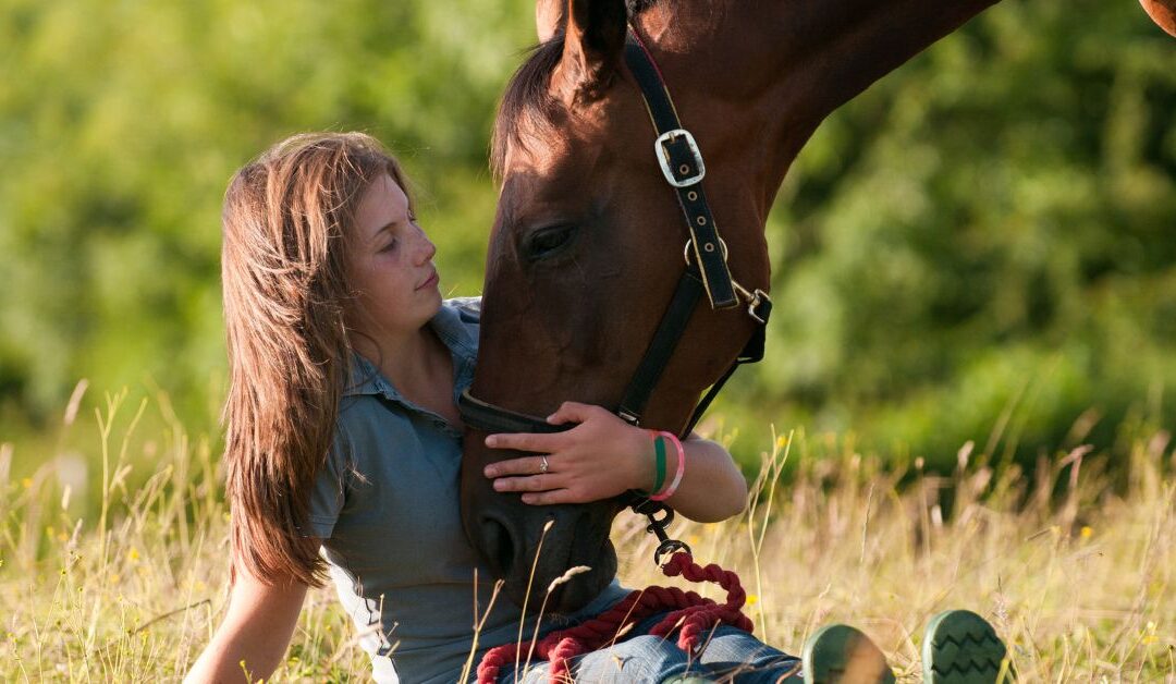 Keep Your Horses Happy and Fly-Free: The Ultimate Seasonal Survival Guide